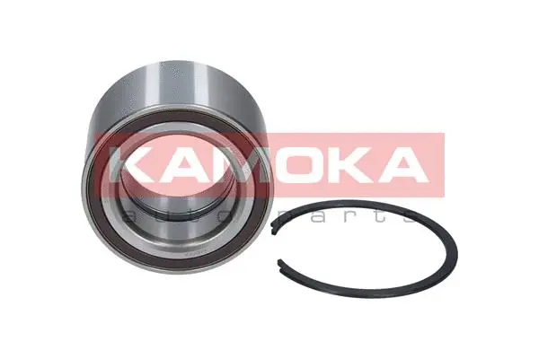 Wheel Bearing Kit (5600062)