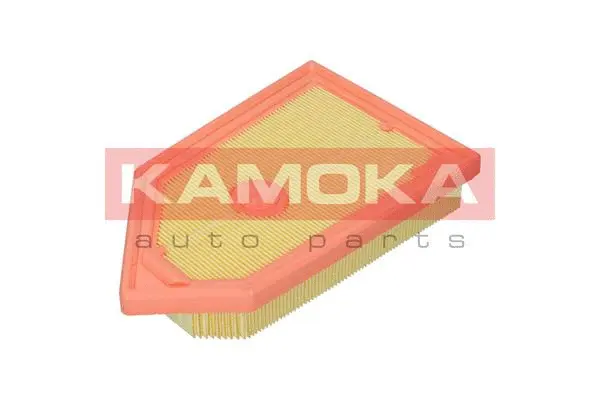 Air Filter (F254301)