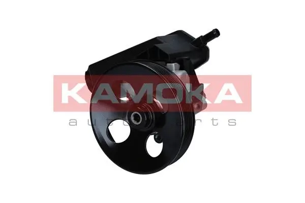 Hydraulic Pump, steering (PP162)