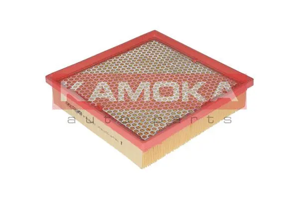 Air Filter (F216601)