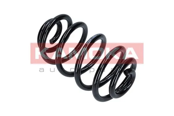 Suspension Spring
