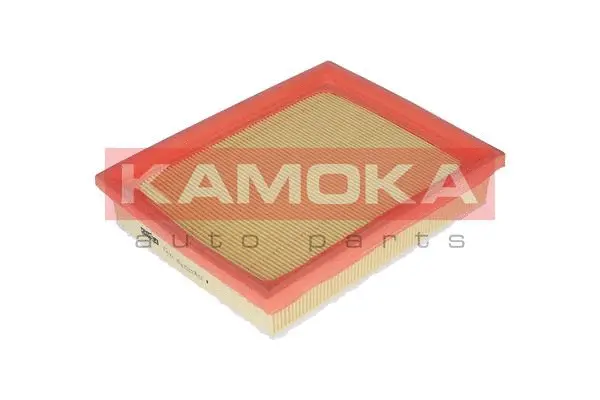 Air Filter (F221901)