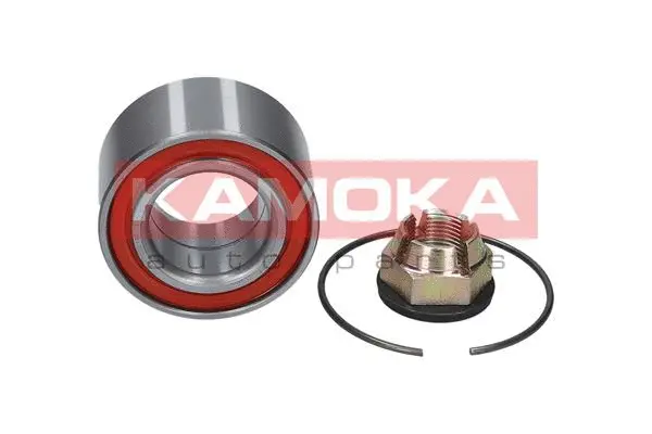Wheel Bearing Kit (5600017)