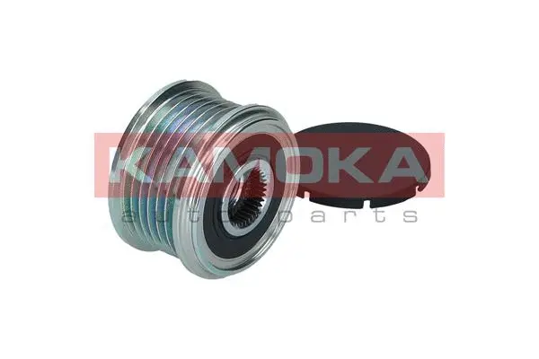 Alternator Freewheel Clutch