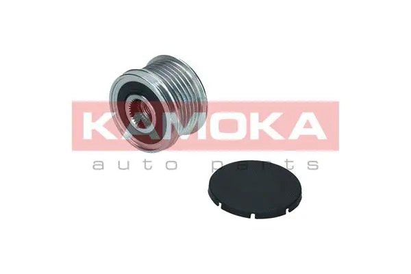 Alternator Freewheel Clutch