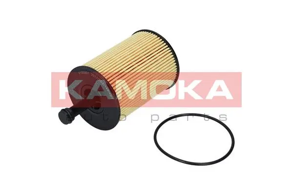 Oil Filter (F100901)