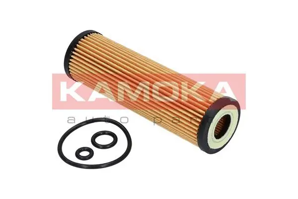 Oil Filter (F109001)