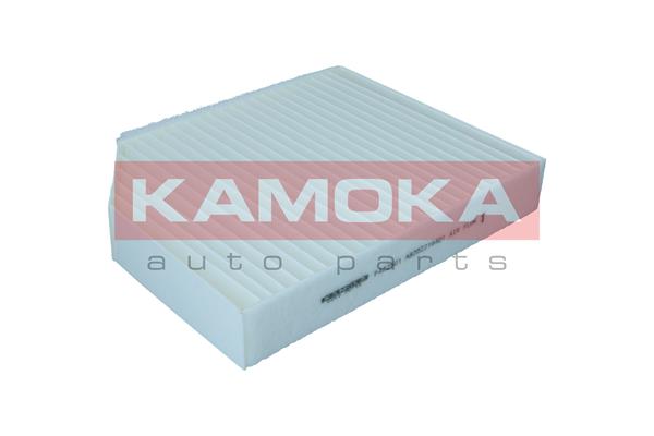Filter, cabin air (F422601)