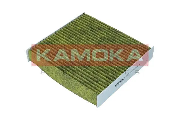 Filter, cabin air (6080079)