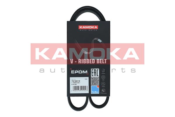 V-Ribbed Belt (7016012)