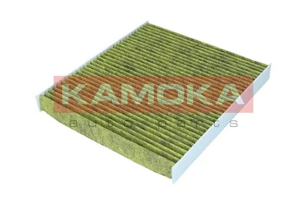 Filter, cabin air (6080141)