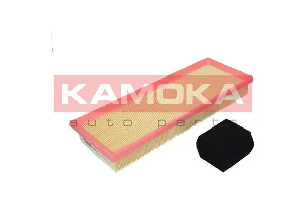Air Filter (F239701)