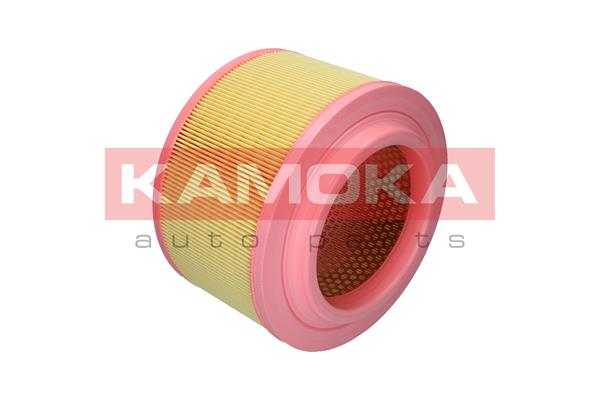 Air Filter (F259401)