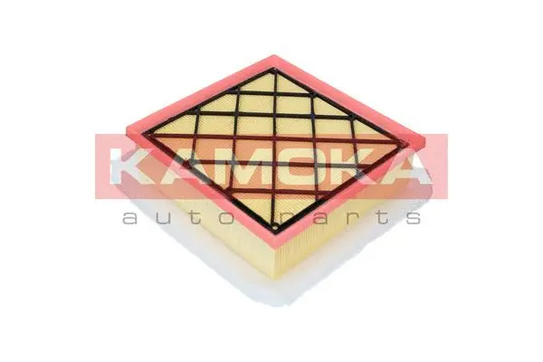 Air Filter (F222301)