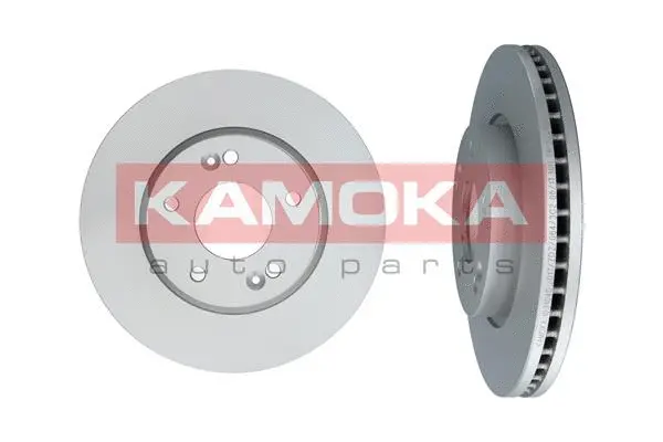 Brake Disc (1031040)
