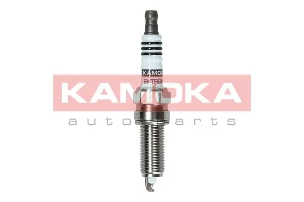 Spark Plug (7100033)