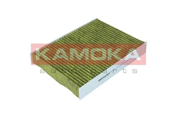 Filter, cabin air (6080059)