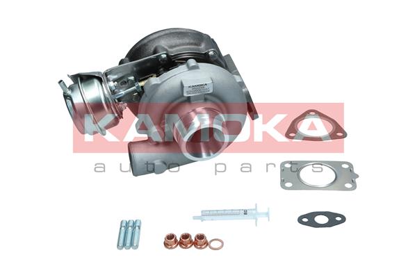 Charger, charging (supercharged/turbocharged) (8600069)