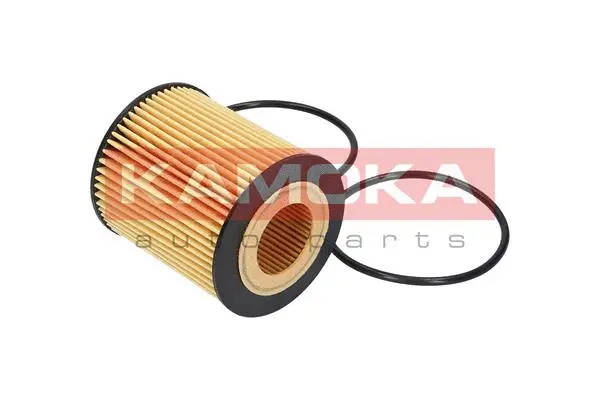 Oil Filter (F107501)