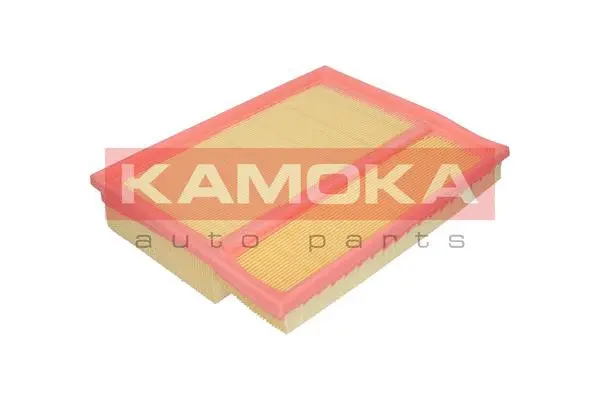 Air Filter (F205401)