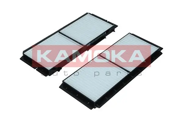 Filter, cabin air (F421201)