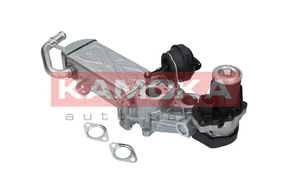 EGR Module