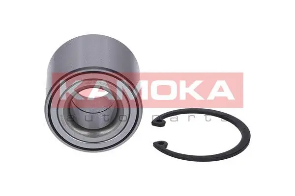 Wheel Bearing Kit (5600046)