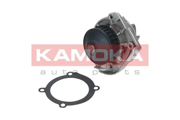 Water Pump, engine cooling (T0118)