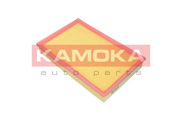 Air Filter (F242901)