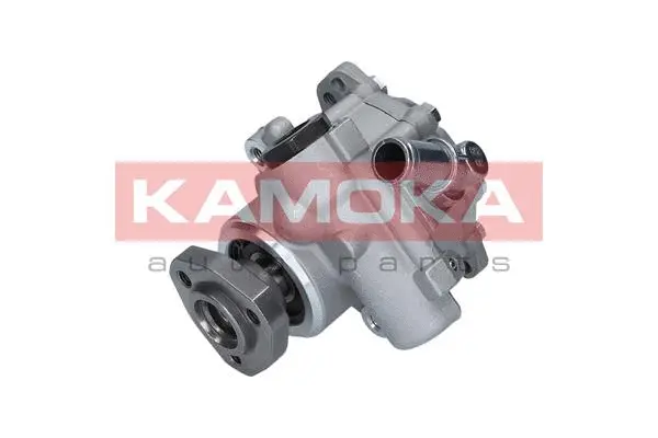Hydraulic Pump, steering (PP110)