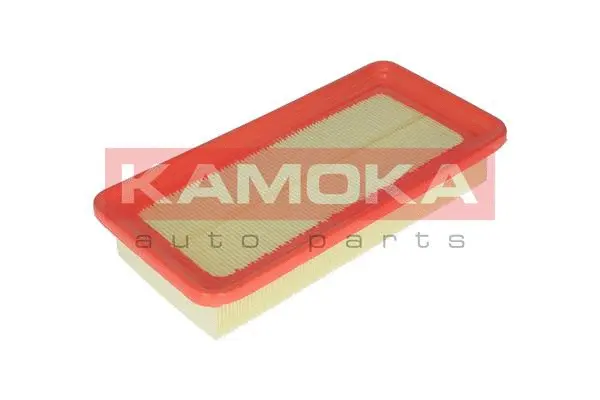 Air Filter (F226601)