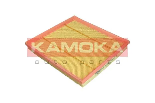 Air Filter (F243501)