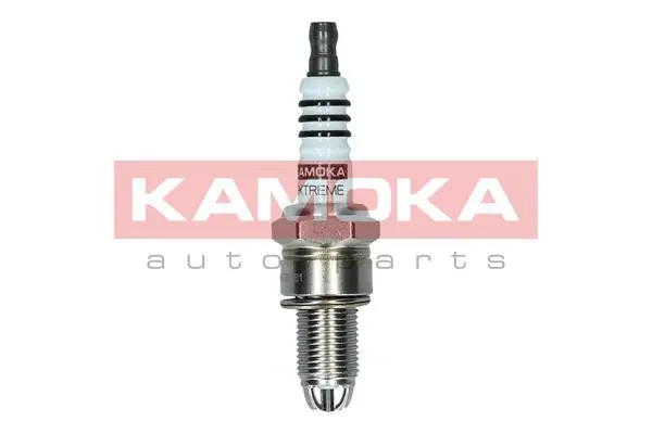 Spark Plug (7100511)
