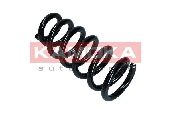 Suspension Spring (2110348)