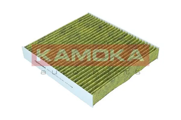 Filter, cabin air (6080153)
