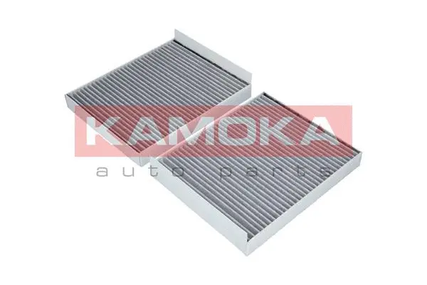Filter, cabin air (F508401)