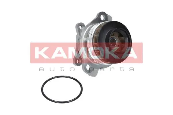 Water Pump, engine cooling (T0222)