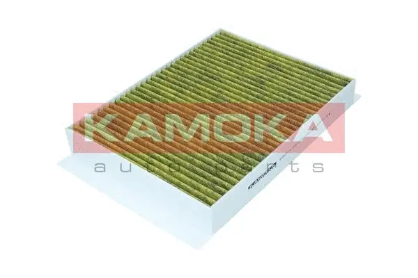 Filter, cabin air (6080154)