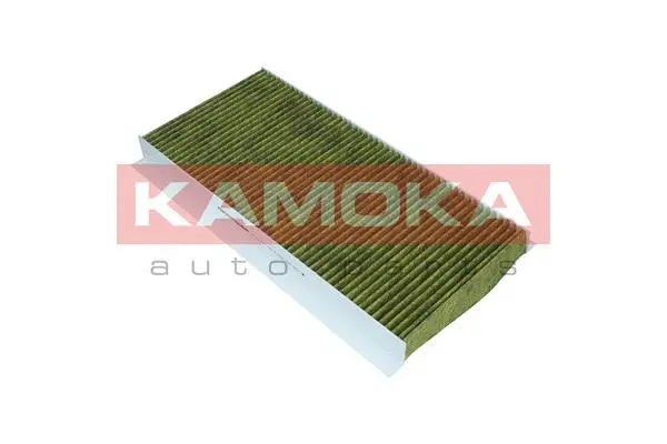 Filter, cabin air (6080043)