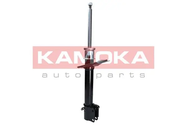 Shock Absorber (2000025)
