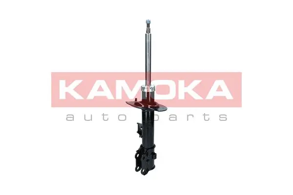 Shock Absorber (2000565)