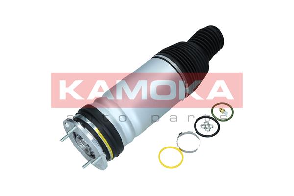 Air Spring, suspension (2079035)