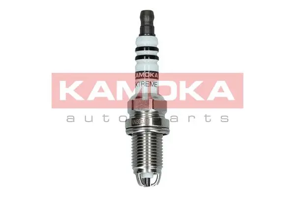 Spark Plug (7100510)