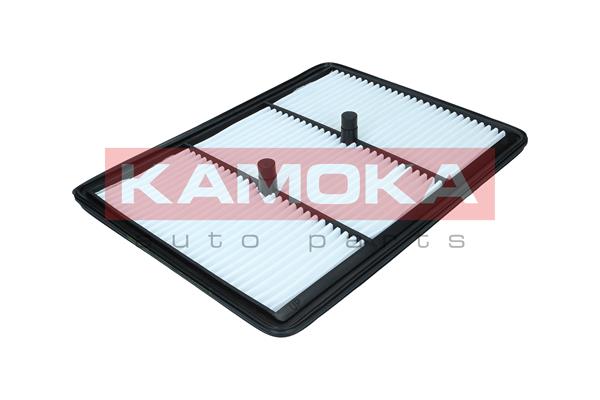 Air Filter (F259601)