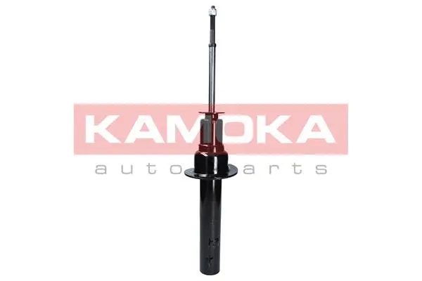 Shock Absorber (2000027)