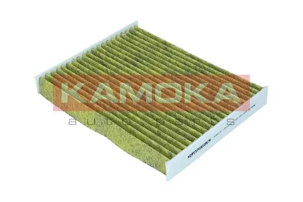 Filter, cabin air (6080147)