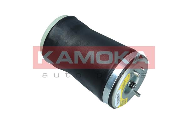 Air Spring, suspension