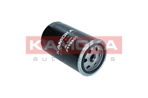 Oil Filter (F119401)