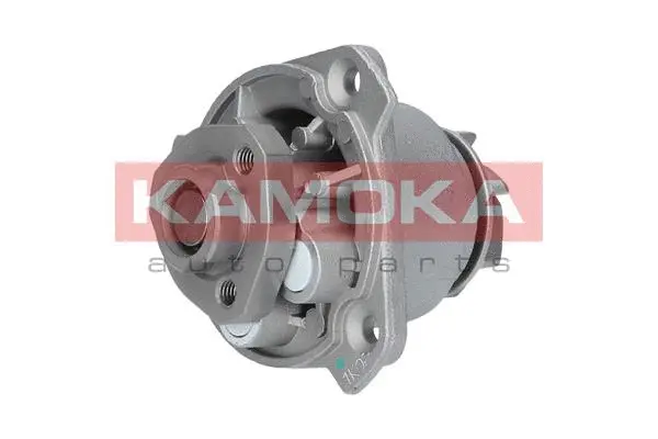 Water Pump, engine cooling (T0256)