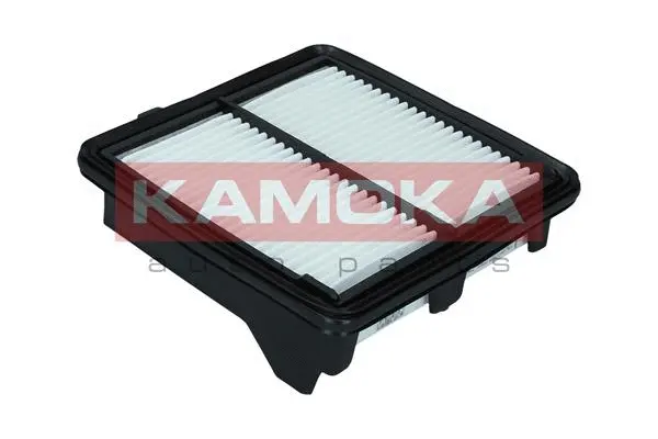 Air Filter (F245401)